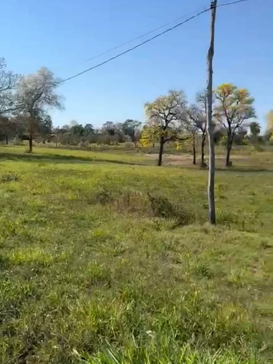 Área verde e arborizada dos terrenos